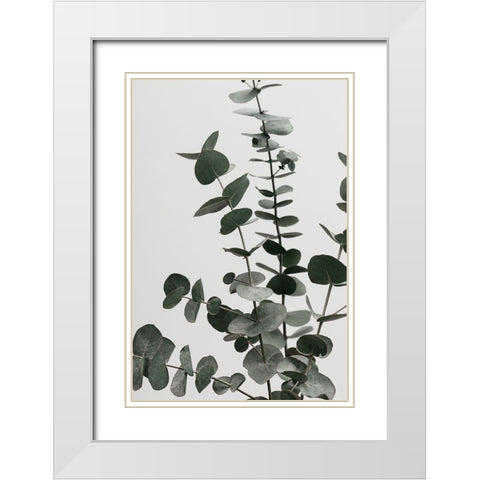 Eucalyptus Natural 07 White Modern Wood Framed Art Print with Double Matting by 1x Studio III
