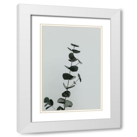 Eucalyptus Natural 10 White Modern Wood Framed Art Print with Double Matting by 1x Studio III