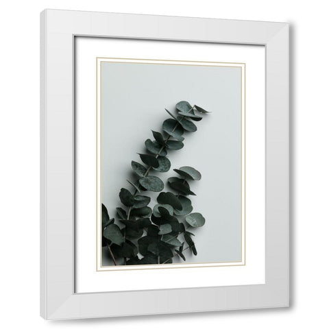 Eucalyptus Wall 01 White Modern Wood Framed Art Print with Double Matting by 1x Studio III