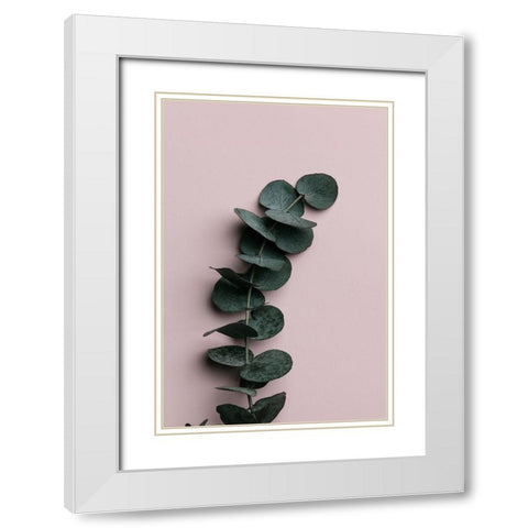 Eucalyptus Pink No 01 White Modern Wood Framed Art Print with Double Matting by 1x Studio III
