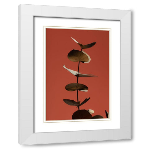 Eucalyptus Gold Rust 04 White Modern Wood Framed Art Print with Double Matting by 1x Studio III