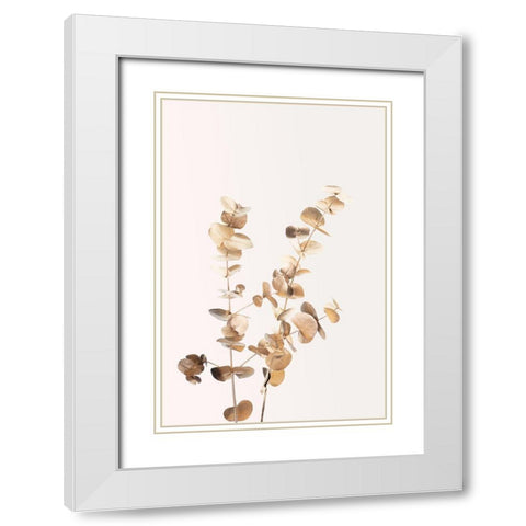 Eucalyptus Gold No 02 White Modern Wood Framed Art Print with Double Matting by 1x Studio III