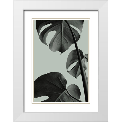 Monstera Teal 03 White Modern Wood Framed Art Print with Double Matting by 1x Studio III