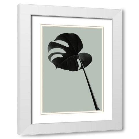 Monstera Teal 06 White Modern Wood Framed Art Print with Double Matting by 1x Studio III
