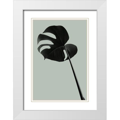 Monstera Teal 06 White Modern Wood Framed Art Print with Double Matting by 1x Studio III