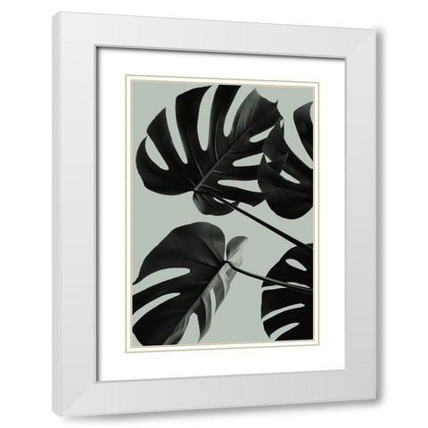 Monstera Teal 08 White Modern Wood Framed Art Print with Double Matting by 1x Studio III