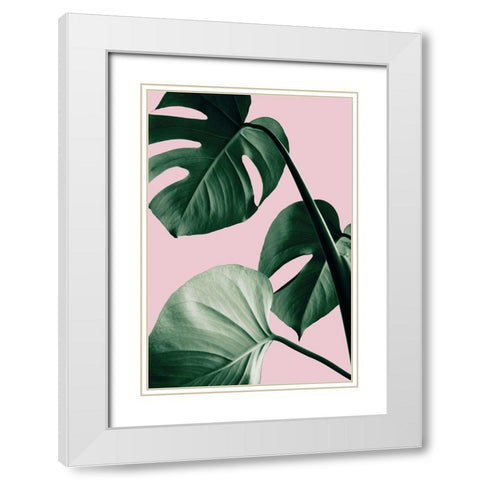 Monstera Pink No 07 White Modern Wood Framed Art Print with Double Matting by 1x Studio III