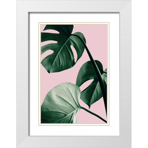 Monstera Pink No 07 White Modern Wood Framed Art Print with Double Matting by 1x Studio III