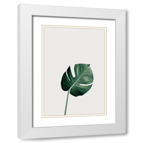 Monstera Natural 01 White Modern Wood Framed Art Print with Double Matting by 1x Studio III