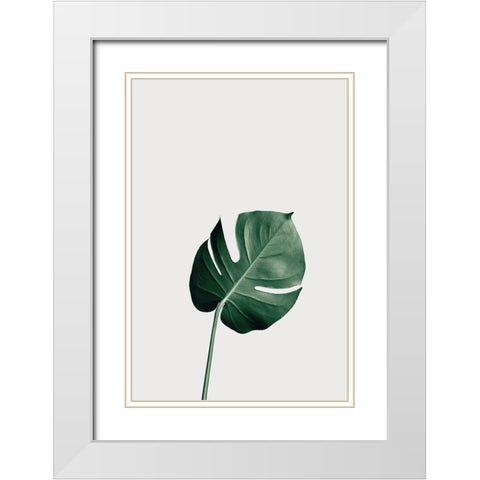 Monstera Natural 01 White Modern Wood Framed Art Print with Double Matting by 1x Studio III