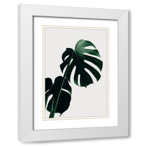 Monstera Natural 03 White Modern Wood Framed Art Print with Double Matting by 1x Studio III