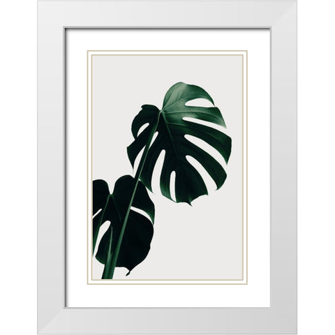 Monstera Natural 03 White Modern Wood Framed Art Print with Double Matting by 1x Studio III