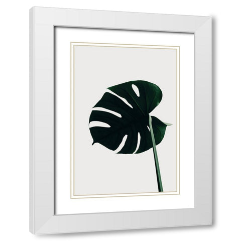 Monstera Natural 04 White Modern Wood Framed Art Print with Double Matting by 1x Studio III