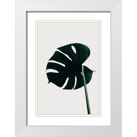 Monstera Natural 04 White Modern Wood Framed Art Print with Double Matting by 1x Studio III