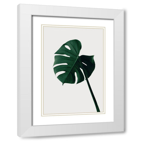 Monstera Natural 07 White Modern Wood Framed Art Print with Double Matting by 1x Studio III