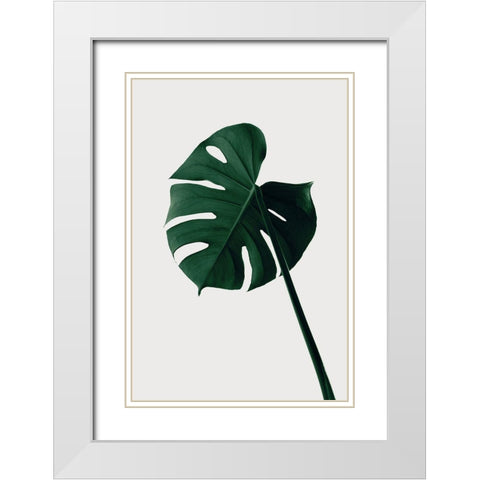 Monstera Natural 07 White Modern Wood Framed Art Print with Double Matting by 1x Studio III