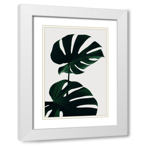Monstera Natural 09 White Modern Wood Framed Art Print with Double Matting by 1x Studio III