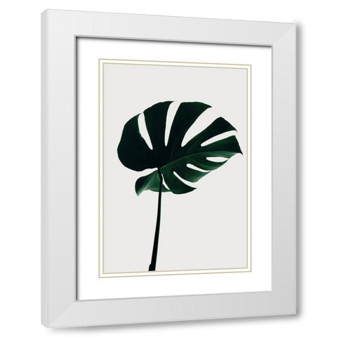 Monstera Natural 10 White Modern Wood Framed Art Print with Double Matting by 1x Studio III