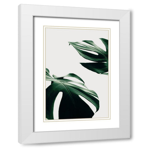Monstera Natural 11 White Modern Wood Framed Art Print with Double Matting by 1x Studio III