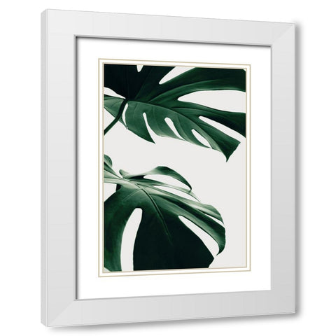 Monstera Natural 12 White Modern Wood Framed Art Print with Double Matting by 1x Studio III