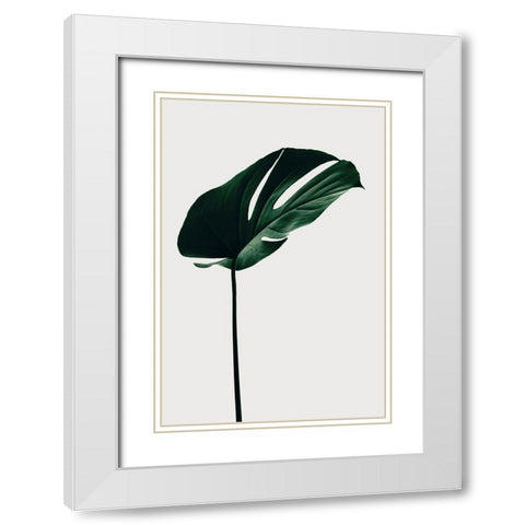 Monstera Natural 14 White Modern Wood Framed Art Print with Double Matting by 1x Studio III