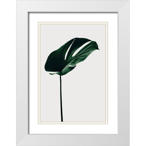 Monstera Natural 14 White Modern Wood Framed Art Print with Double Matting by 1x Studio III