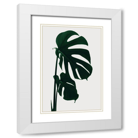 Monstera Natural 15 White Modern Wood Framed Art Print with Double Matting by 1x Studio III