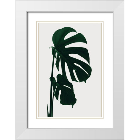Monstera Natural 15 White Modern Wood Framed Art Print with Double Matting by 1x Studio III