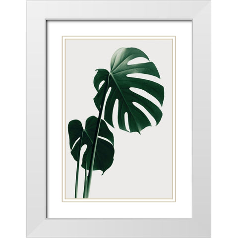 Monstera Natural 16 White Modern Wood Framed Art Print with Double Matting by 1x Studio III