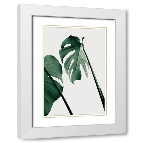 Monstera Natural 17 White Modern Wood Framed Art Print with Double Matting by 1x Studio III