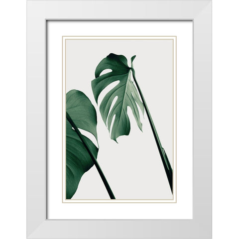 Monstera Natural 17 White Modern Wood Framed Art Print with Double Matting by 1x Studio III