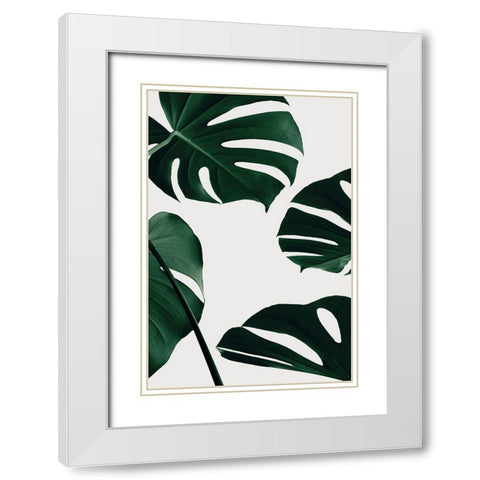 Monstera Natural 20 White Modern Wood Framed Art Print with Double Matting by 1x Studio III