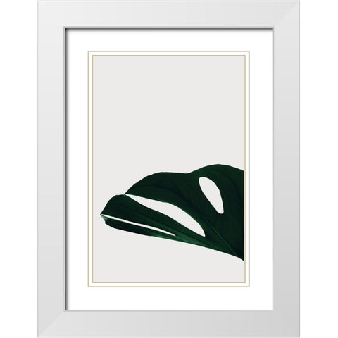 Monstera Natural 21 White Modern Wood Framed Art Print with Double Matting by 1x Studio III
