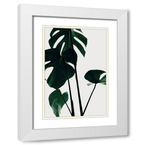 Monstera Natural 25 White Modern Wood Framed Art Print with Double Matting by 1x Studio III