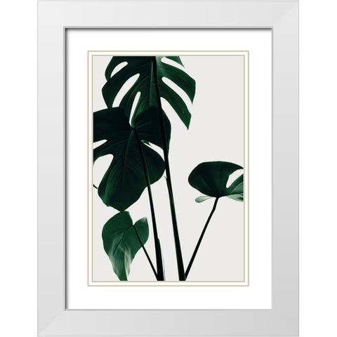 Monstera Natural 25 White Modern Wood Framed Art Print with Double Matting by 1x Studio III