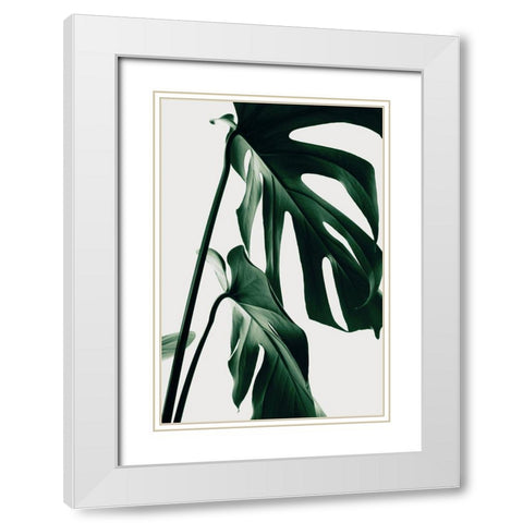 Monstera Natural 27 White Modern Wood Framed Art Print with Double Matting by 1x Studio III