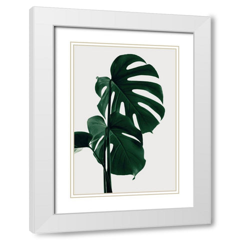 Monstera Natural 28 White Modern Wood Framed Art Print with Double Matting by 1x Studio III