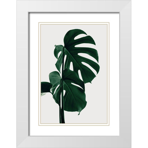 Monstera Natural 28 White Modern Wood Framed Art Print with Double Matting by 1x Studio III