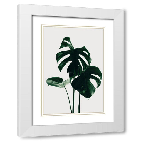 Monstera Natural 29 White Modern Wood Framed Art Print with Double Matting by 1x Studio III
