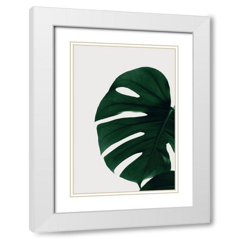 Monstera Natural 30 White Modern Wood Framed Art Print with Double Matting by 1x Studio III