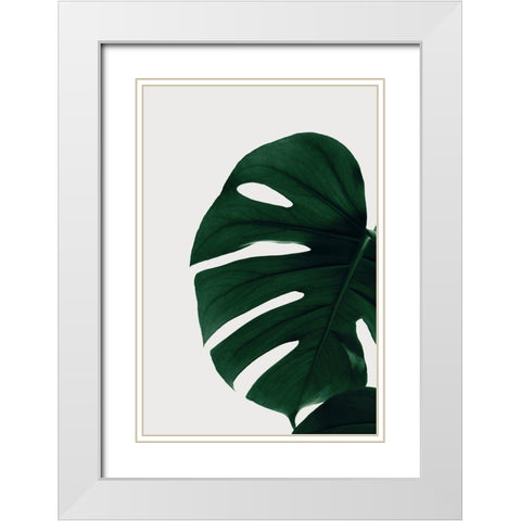 Monstera Natural 30 White Modern Wood Framed Art Print with Double Matting by 1x Studio III