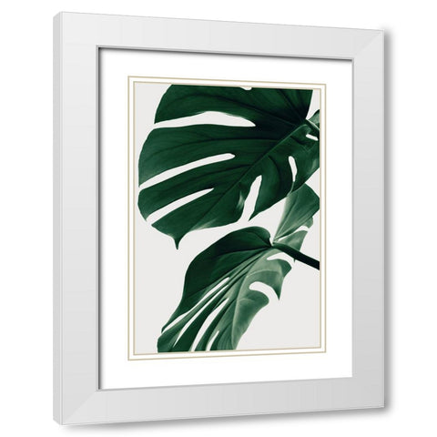 Monstera Natural 31 White Modern Wood Framed Art Print with Double Matting by 1x Studio III