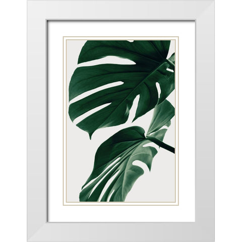 Monstera Natural 31 White Modern Wood Framed Art Print with Double Matting by 1x Studio III
