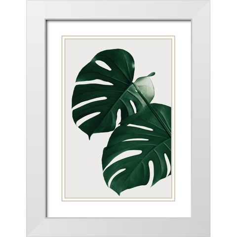 Monstera Natural 32 White Modern Wood Framed Art Print with Double Matting by 1x Studio III