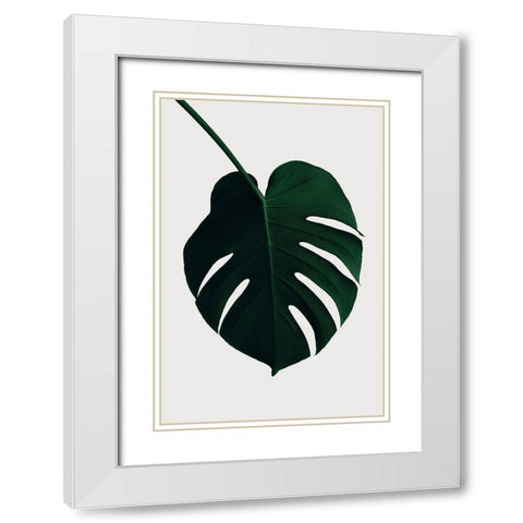 Monstera Natural 35 White Modern Wood Framed Art Print with Double Matting by 1x Studio III