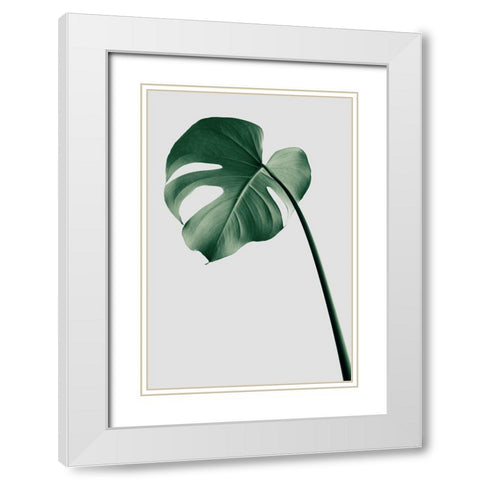 Monstera Natural 36 White Modern Wood Framed Art Print with Double Matting by 1x Studio III