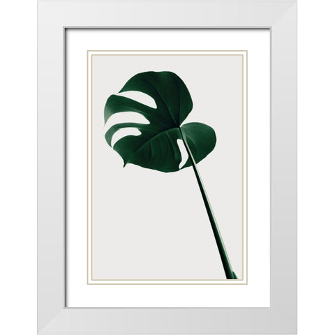 Monstera Natural 40 White Modern Wood Framed Art Print with Double Matting by 1x Studio III