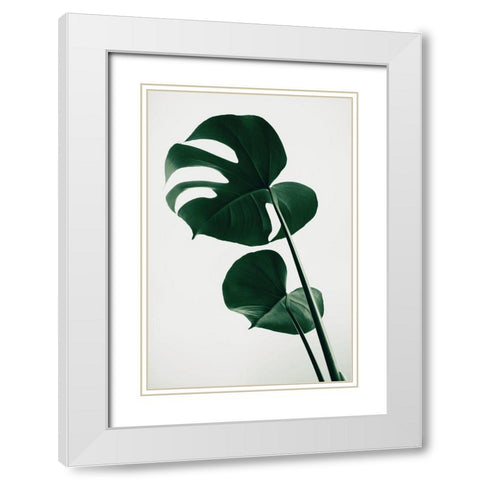 Monstera Natural 41 White Modern Wood Framed Art Print with Double Matting by 1x Studio III