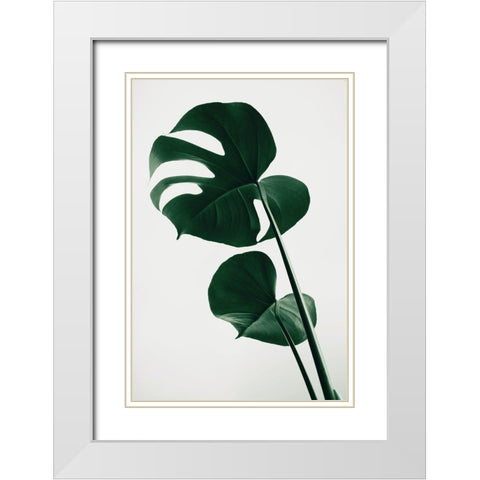 Monstera Natural 41 White Modern Wood Framed Art Print with Double Matting by 1x Studio III