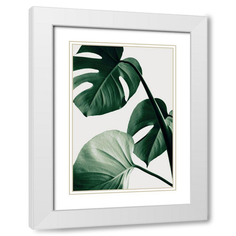 Monstera Natural 42 White Modern Wood Framed Art Print with Double Matting by 1x Studio III